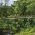 Ponte sospeso in Kerala