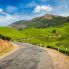 Strada tra le piantagioni di tè verde del Kerala