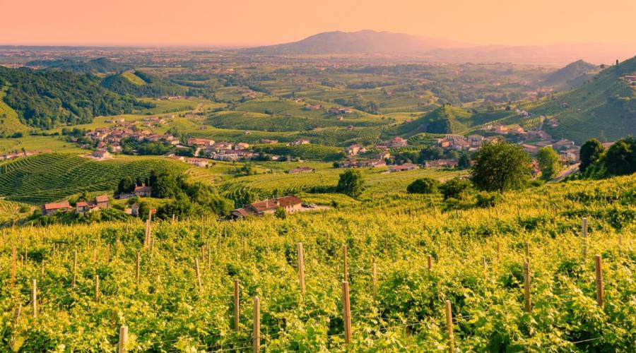 colline prosecco