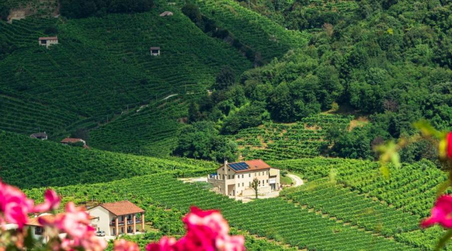 colline prosecco