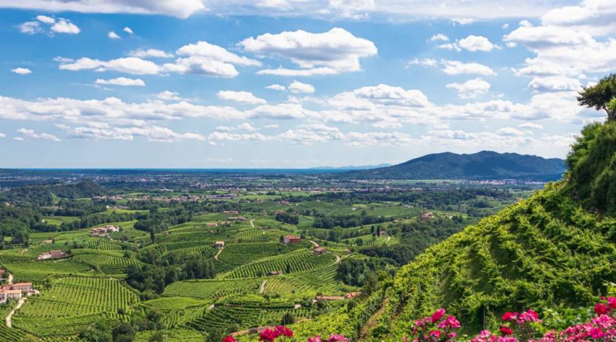 colline prosecco