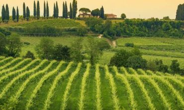 Minitour tra Prosecco e borghi trevigiani