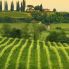 colline prosecco