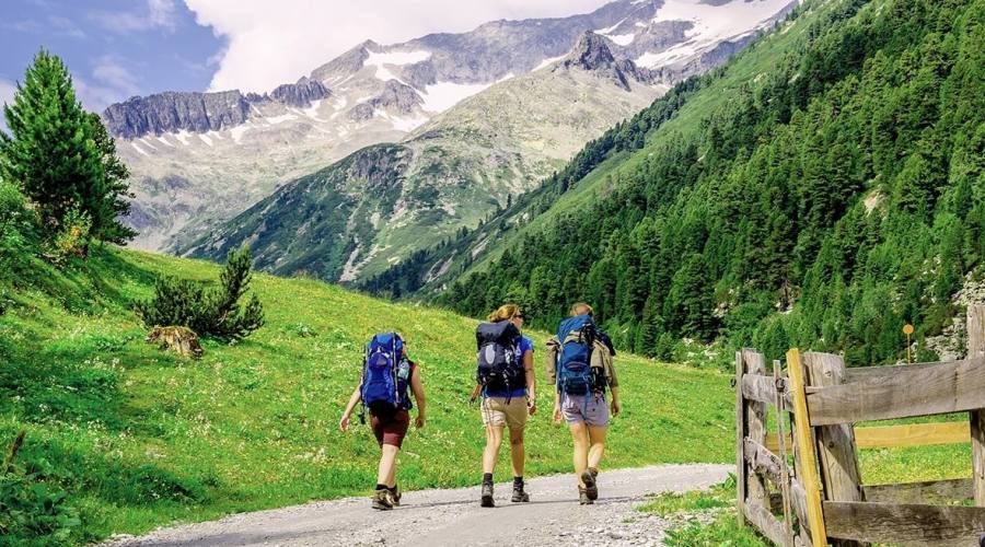 Attività da scegliere