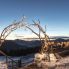 Trentino innevato