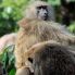 Lake Manyara