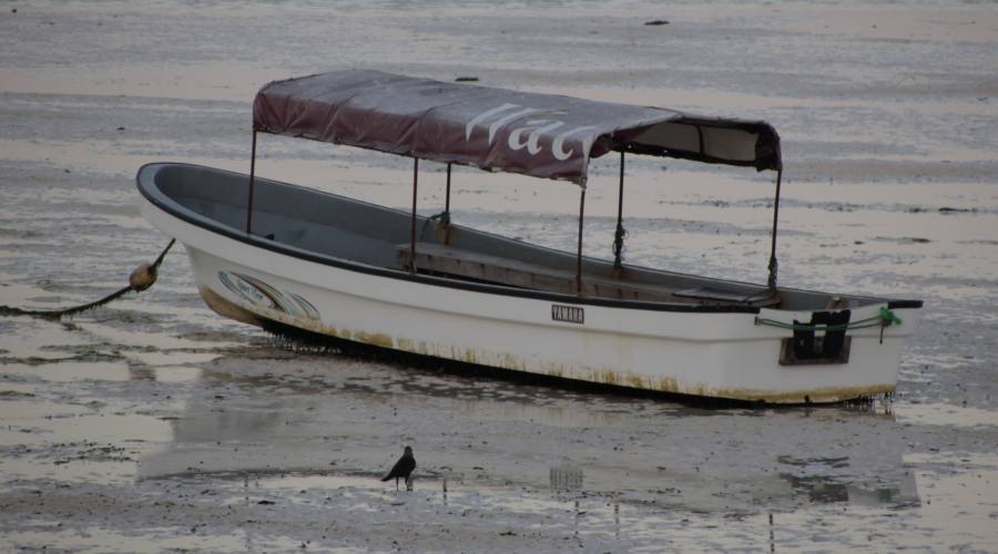 La bassa marea