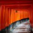 Fushimi inari