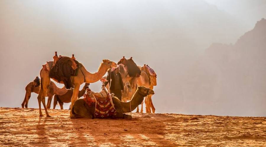 Wadi Rum