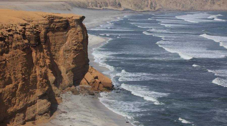 Riserva di Paracas