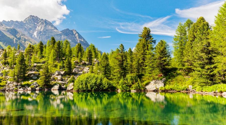 Lago di Val Viola - Poschiavo