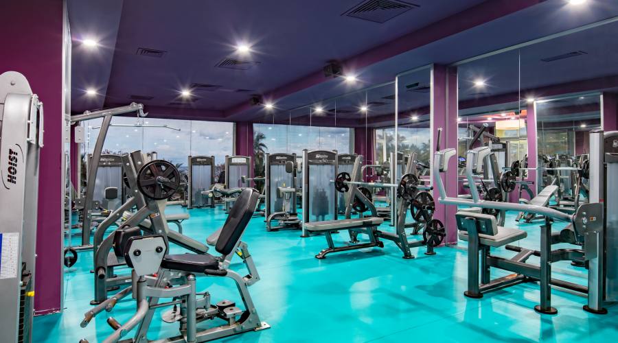 palestra