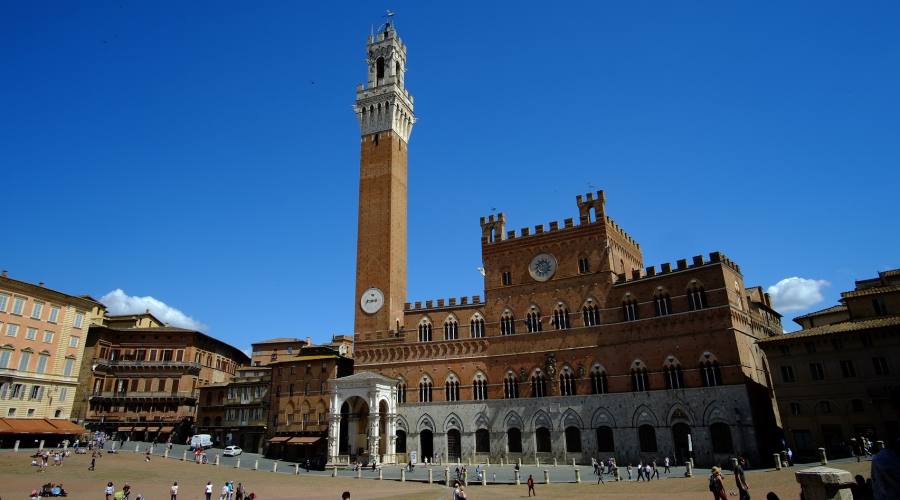 Piazza del Campo, Siena