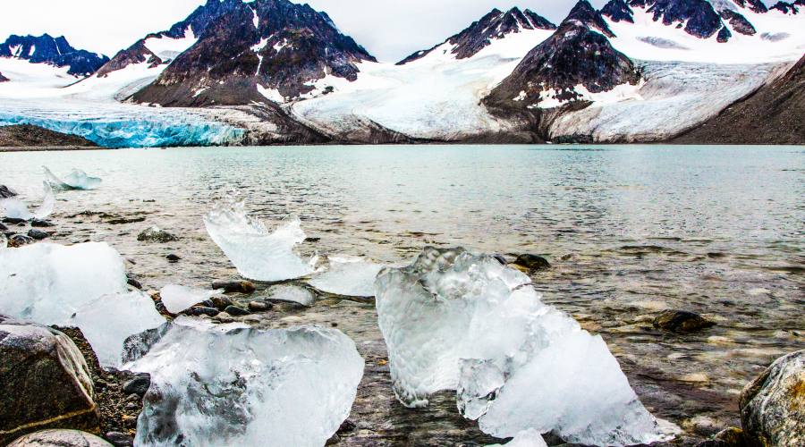 Iceberg