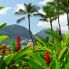 Kauai la bellissima vista da Nawiliwili