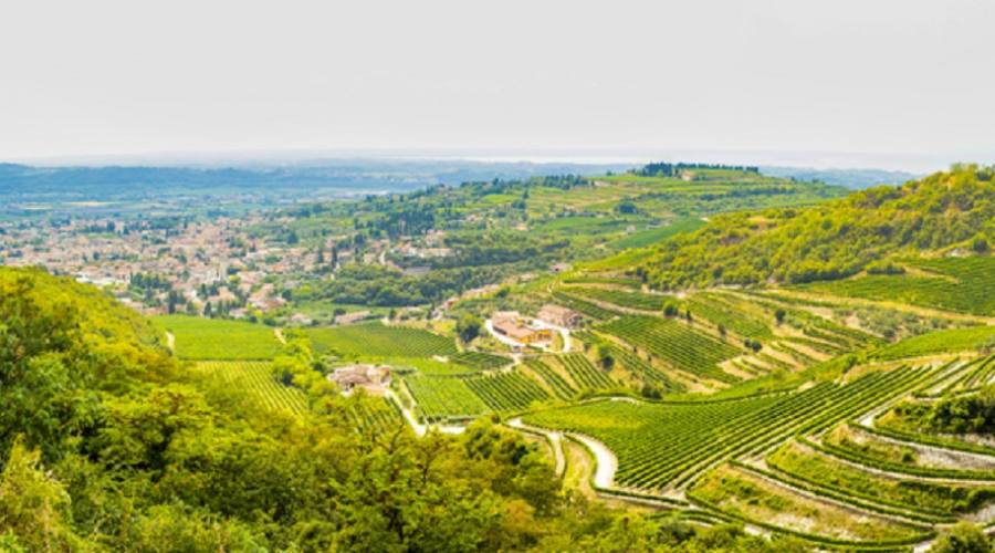 Valpolicella