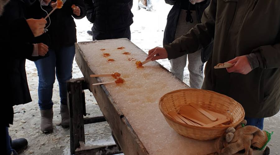 degustazioni sciroppo d'acero 