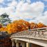 Il Castello di Osaka durante il foliage