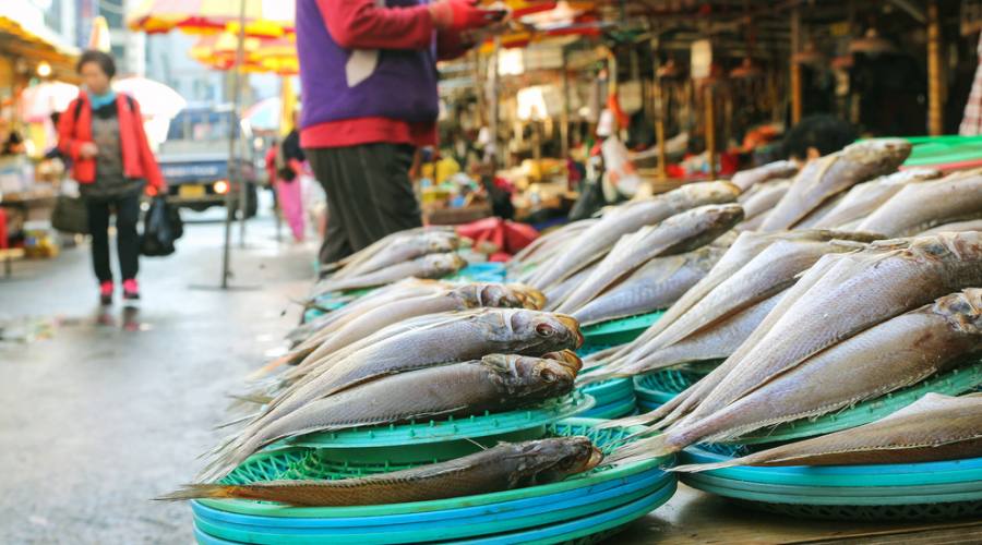 Busan - Mercato del pesce 