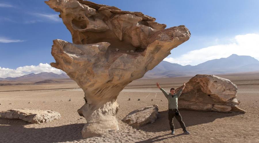 Arbol de Piedra