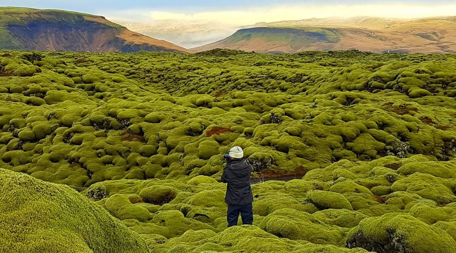 Campo di lava