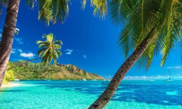 Wonderful Polinesia