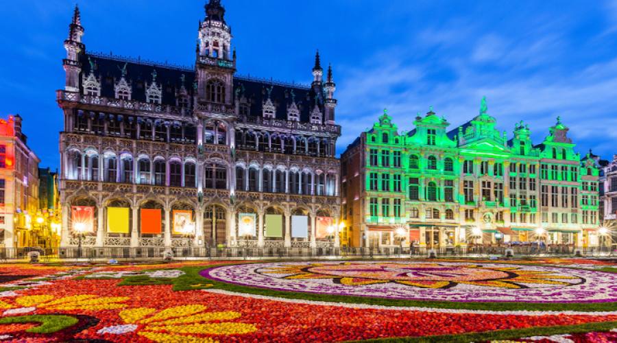  Bruxelles Infiorata (Flover Carpet) sulla Grand Place