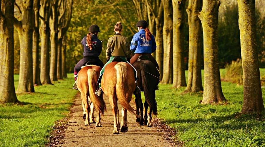 Giovani ragazze a cavallo