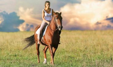 A cavallo dalla Provenza alla Camargue