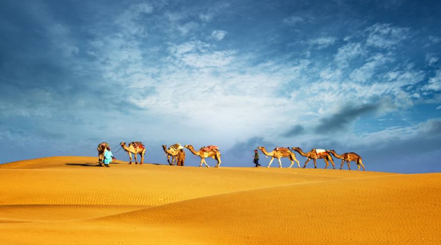 Dubai deserto camel safari