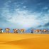 Dubai deserto camel safari