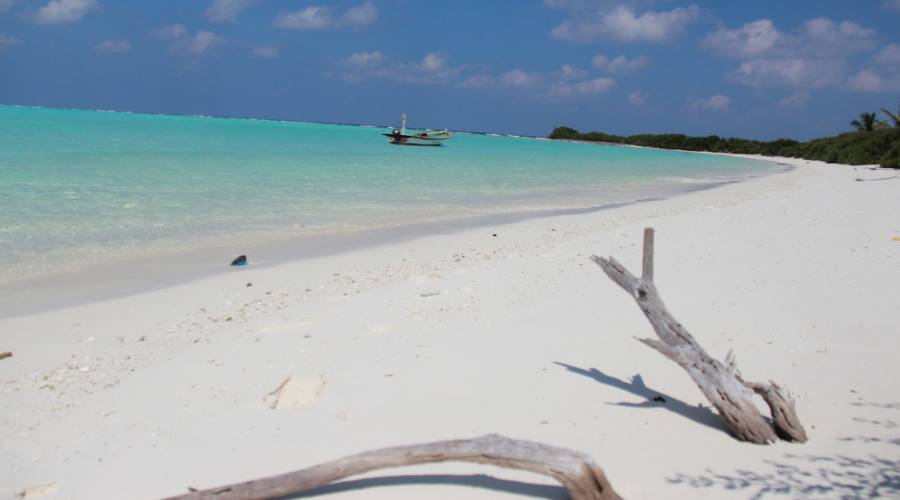 la spiaggia e il mare delle isole Laccadive