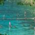 Lago di Ledro Pali delle dimore preistoriche (Patrimonio Unesco)
