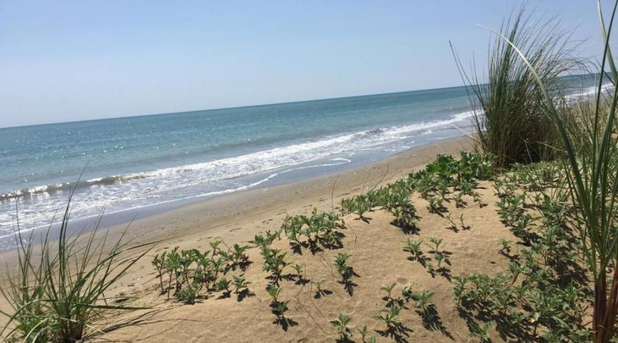 Spiaggia libera Caorle