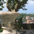 Panorama colline Toscana