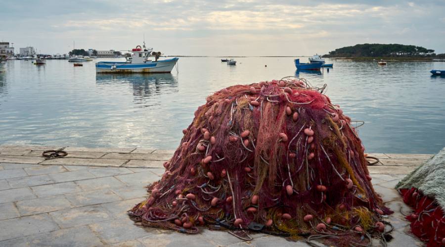 Porto Cesareo