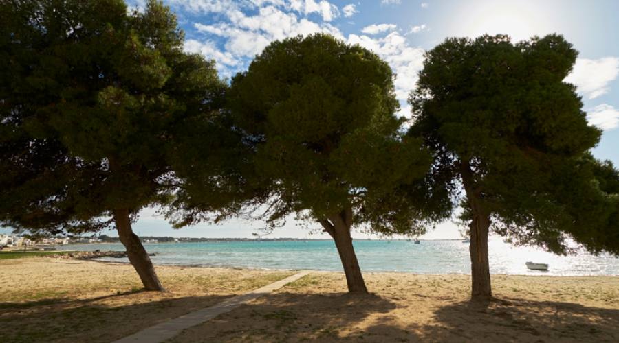 Porto Cesareo