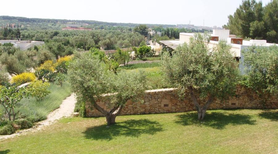 Vista panoramia tra lavanda e rosmarino