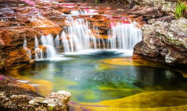 Scopri l'incredibile Natura colombiana