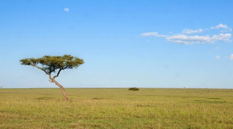 Infinita distesa al Serengeti