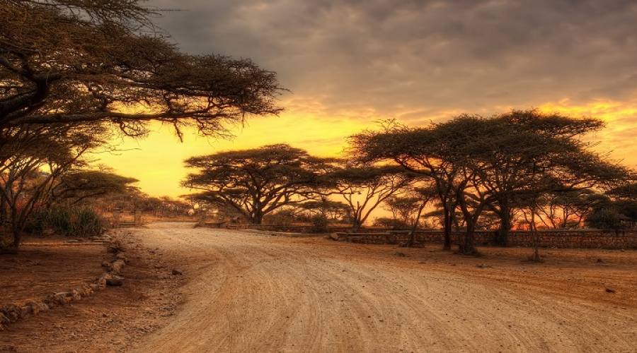 Strada battuta al Serengeti National Park