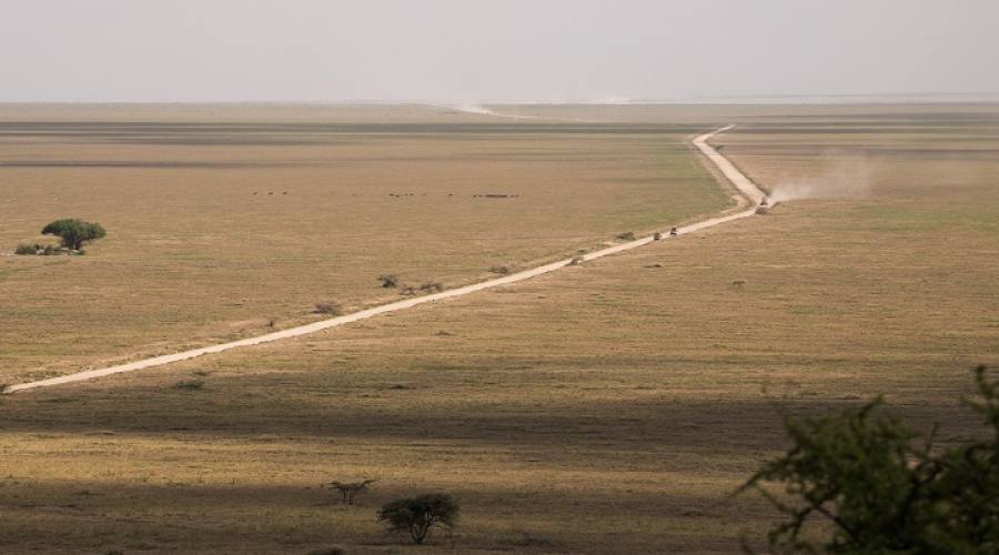 Strada nell'infinita distesa del Serengeti