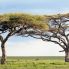 Panorama al Serengeti National Park