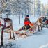 In slitta con le renne, come Babbo Natale
