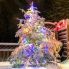 Albero di Natale in Svezia