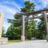 Torii del Santuario Shintoista Izumo Taisha