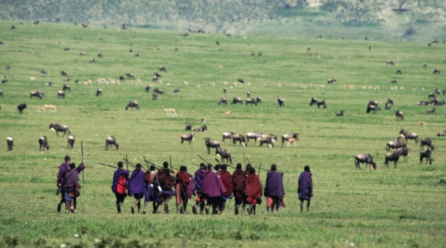 Controllo del gregge dai pastori locali