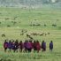 Controllo del gregge dai pastori locali