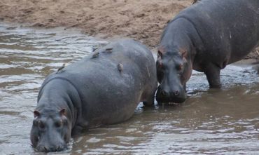 I Grandi Parchi - Safari da Nord a Sud