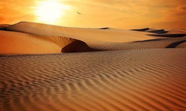 New Best of La Terra degli Emiri - Tour di gruppo 5 giorni/4 notti - Hotel 5 stelle